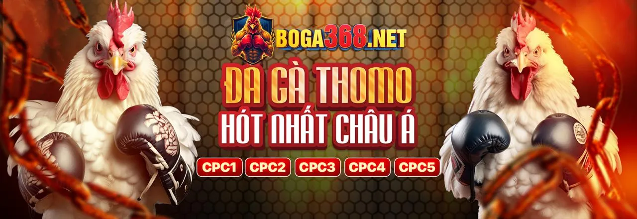 Đá Gà trực tuyến tại fe88